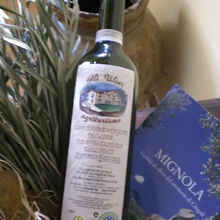 ファームステイ Agriturismo Gli Ulivi チンゴリ